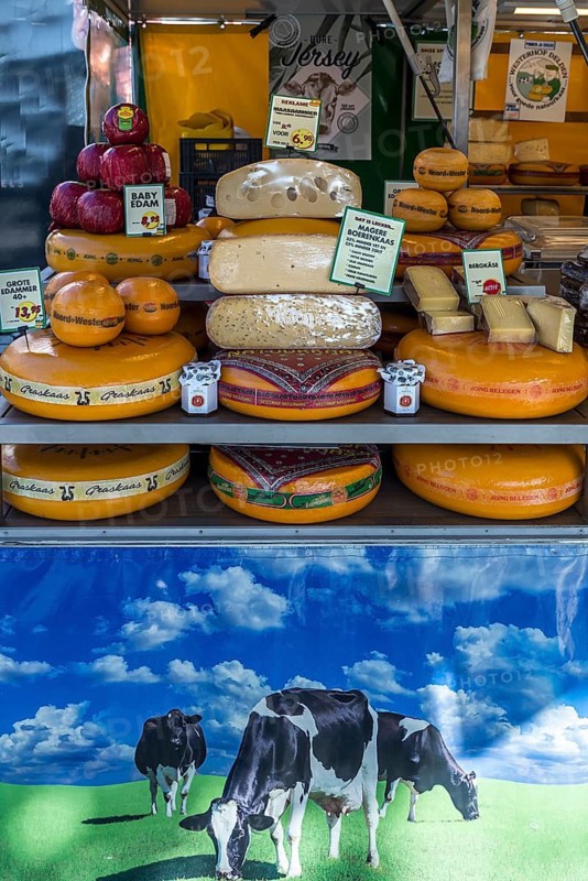 Cheese stand at a weekly market market, Enschede, the Netherlands