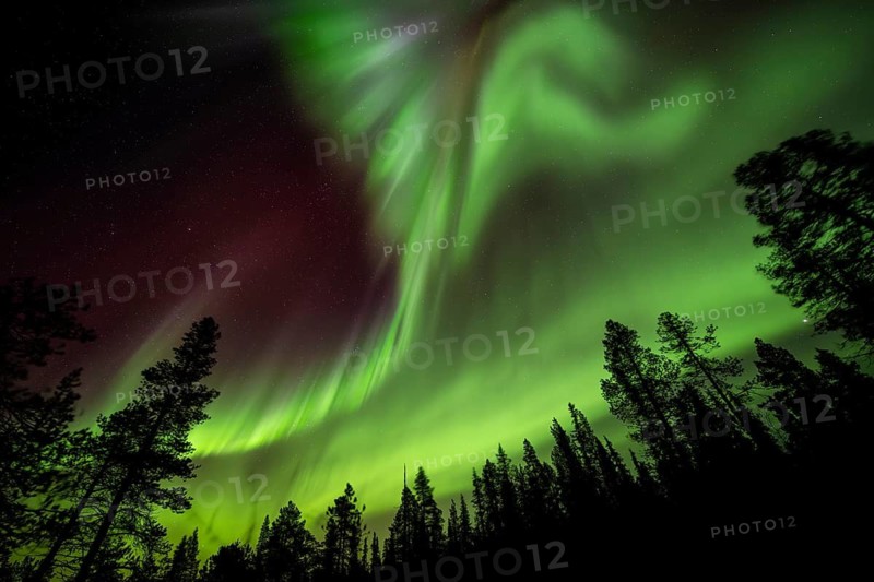 Northern Lights (Aurora borealis), Norrbotten, Lapland, Sweden, October 2022