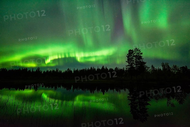 The Northern Lights (Aurora borealis) reflected in a lake, Norrbotten, Lapland, Sweden, September 2015, Swedish Lapland, Scandinavia