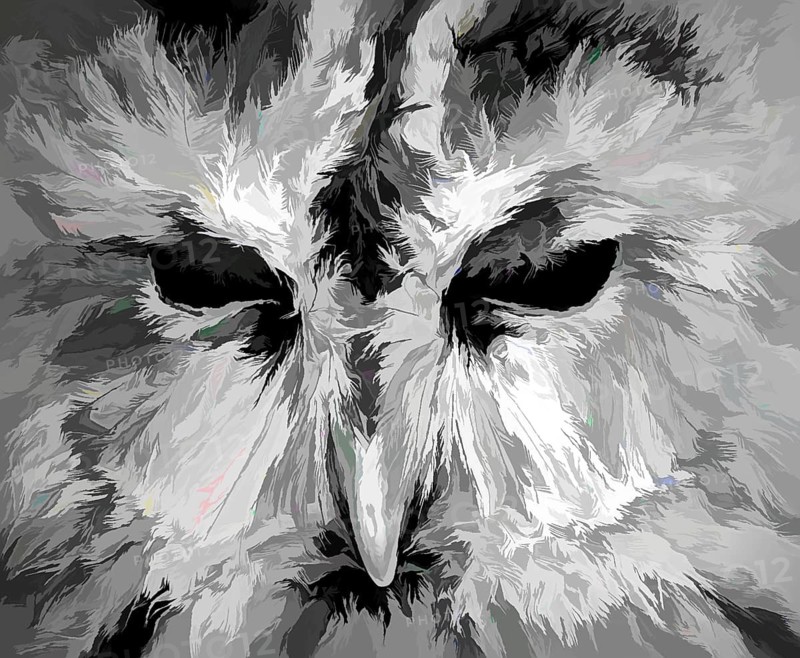 A great grey owl or great gray owl, Strix nebulosa, digitally edited