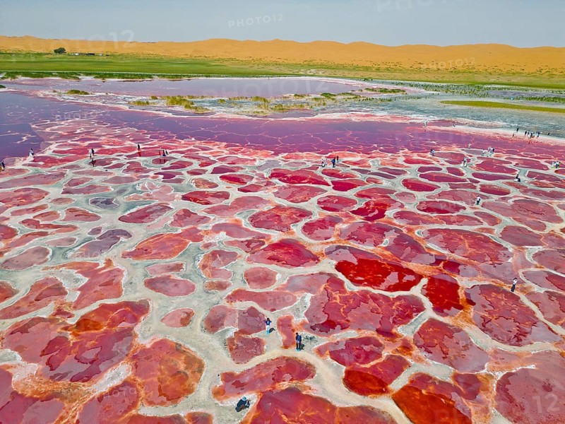 Aerial view of Ulan Lake, Red Lake, caused by microorganisms and algae such as Dunaliella salina, which produce the pigment beta-carotene to protect themselves from strong UV radiation, people standing on the partially dried-up salt lake Ulan Lake in the Tengger Desert, part of the Gobi Desert known as the ‘Red Heart of the Earth', Inner Mongolia, China