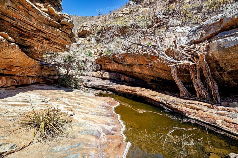 Rocky gorge with water basin and bare trees in a dry desert landscape under clear skies, the thornshrub savanna in the Caatinga landscape in the federal states of Pernambuco and Bahia in Brazil