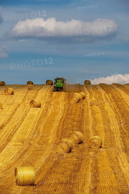 Straw harvest, after harvesting the straw, previously mowed, dried and laid in rows, so-called plumes, is pulled by a round baler, by a tractor, picked up, pressed into compressed bales and placed in the field, used as animal feed, in Mülheim-Menden, Acker an der Mendener Straße, midsummer, harvest at over 30C, Mülheim an der Ruhr, North Rhine-Westphalia, Germany