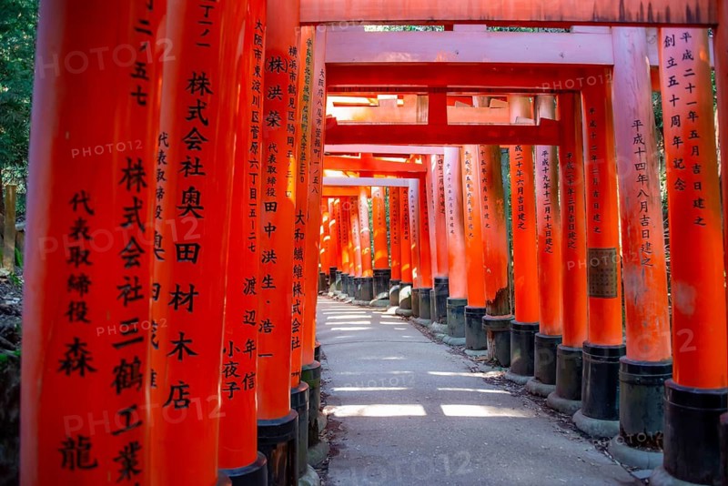 Walk through hundreds of red traditional torii gates, Fushimi Inari Taisha, Shinto Shrine, Fushimi Inari-taisha Okusha Hohaisho, Kyoto, Japan