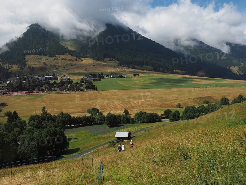 Rural scenery of a valley with fields and a village surrounded by wooded hills and mountains, Münster, Goms, Canton of Valais, Switzerland