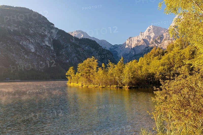 The tree-covered floating island in Lake Almsee bathed in the early morning light. Austria