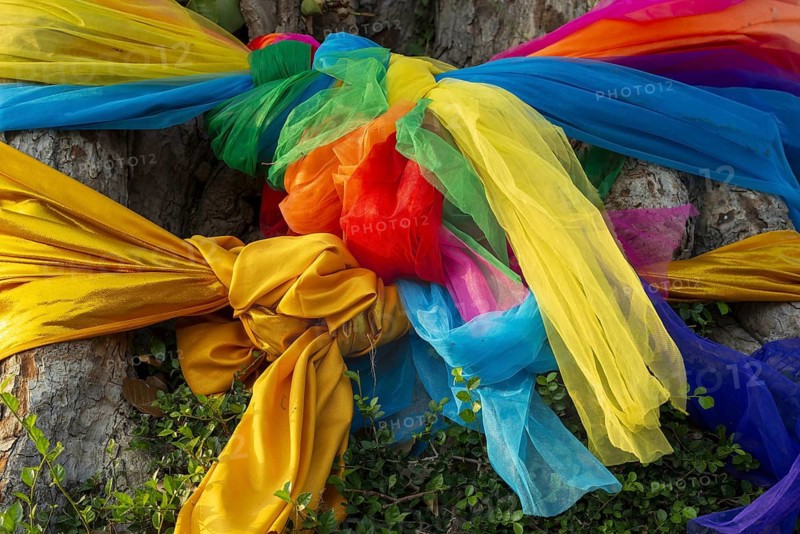 Sacred cloths around the roots of a strangler fig (Ficus religiosa), Ayutthaya, Thailand