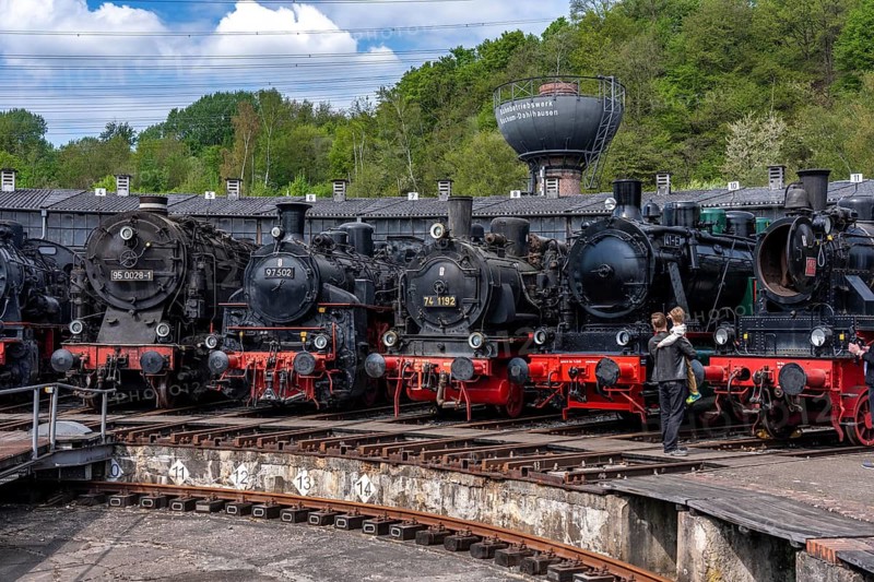 Ring locomotive shed with many historic steam locomotives in the Bochum Railway Museum, museum days weekend, with many attractions such as steam locomotive rides, 3 locomotives are under steam, historic trains make round trips through the Ruhr Valley, many locomotives are on display, on the site of the former Dahlhausen railway depot, North Rhine-Westphalia, Germany