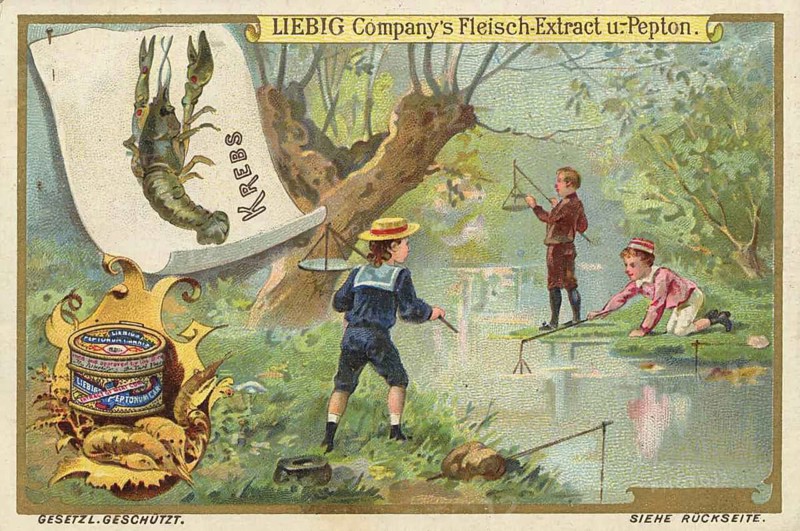 Picture series Fishing, Children fishing on the riverbank, Liebigbild, digitally restored reproduction of a collector's painting from around 1900, exact date unknown