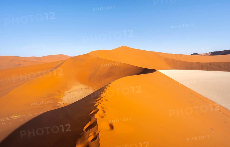Dead Vlei, sand dune and white salt pan in the Namib Desert, Namib Naukluft Park, Namibia