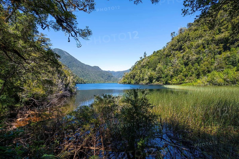Lake Laguna Chaiquenes between wooded mountains, Andino Alerce National Park, Llanquihue, Los Lagos, Chile