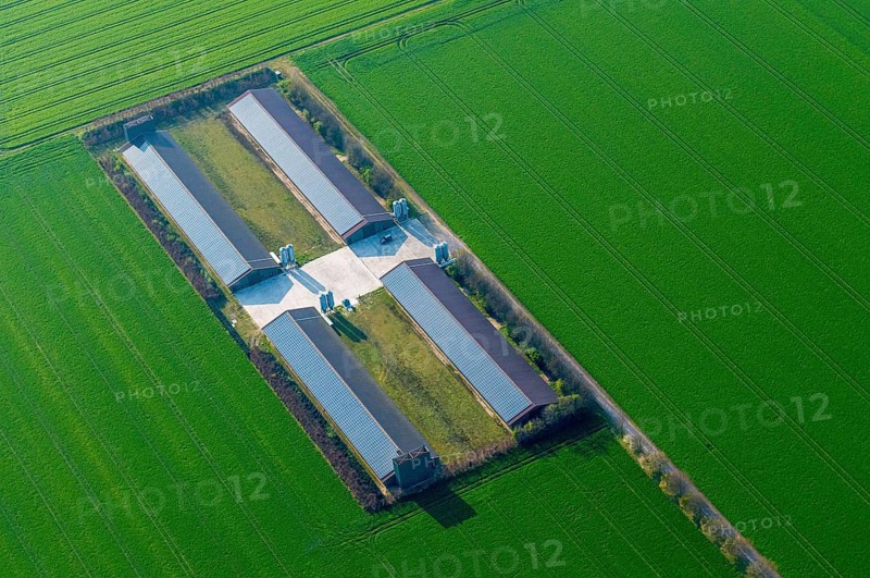 Aerial view of a stable for animal breeding in the district of Vechta, agriculture, Oldenburger Münsterland, Dinkalge, Lower Saxony, Germany