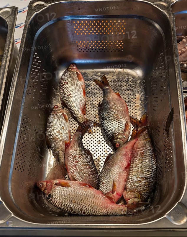 Fish at a weekly market market, the Netherlands