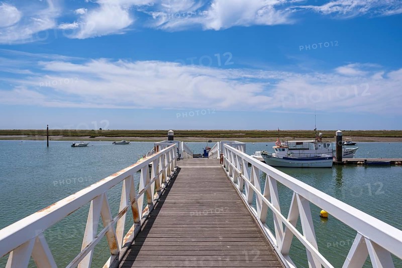 A wooden walkway over calm water with boats and sunny sky in the background, Santa Luzia, Tavira, Faro, Portugal