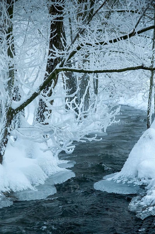 Greiz, Thuringia, Triebitzbach, Bach, Brook, ice, rivers, high size, vertical format, ice, landscape, snow, Vogtland, winter