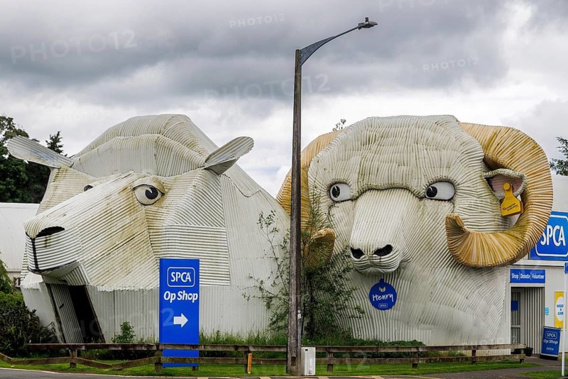 The corrugated iron sculptures were made by artist Steven Clothier consist of a trio of a giant metal ewe, ram and sheepdog in the rural town of Tirau, New Zealand