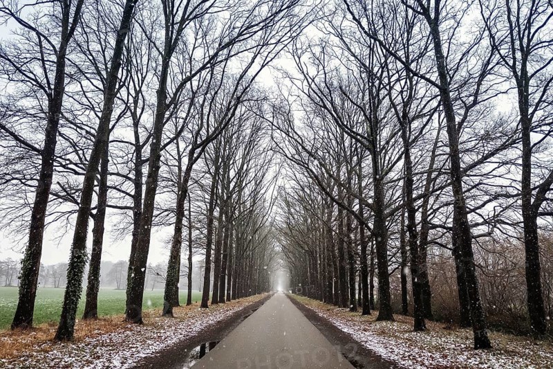 Winter trip with snow on an alley in Almelo, the Netherlands