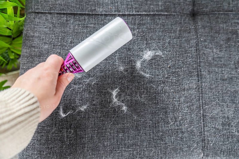 A hand using a lint roller on a gray fabric surface. The roller removes pet hair and lint. A green plant is visible in the background