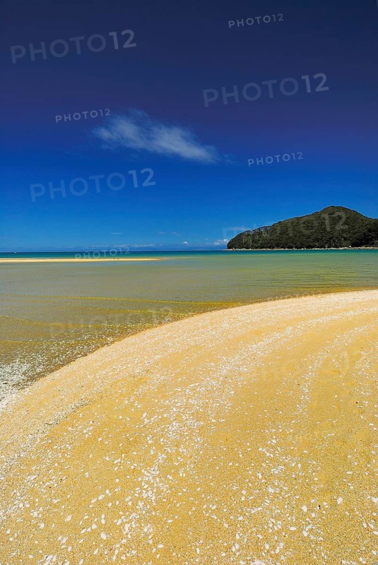 Sandy beach Beach, Abel Tasman National Park, Tasman Sea, Nelson Region, South Island New Zealand Boat Tour, Abel Tasman National Park, South Island, New Zealand
