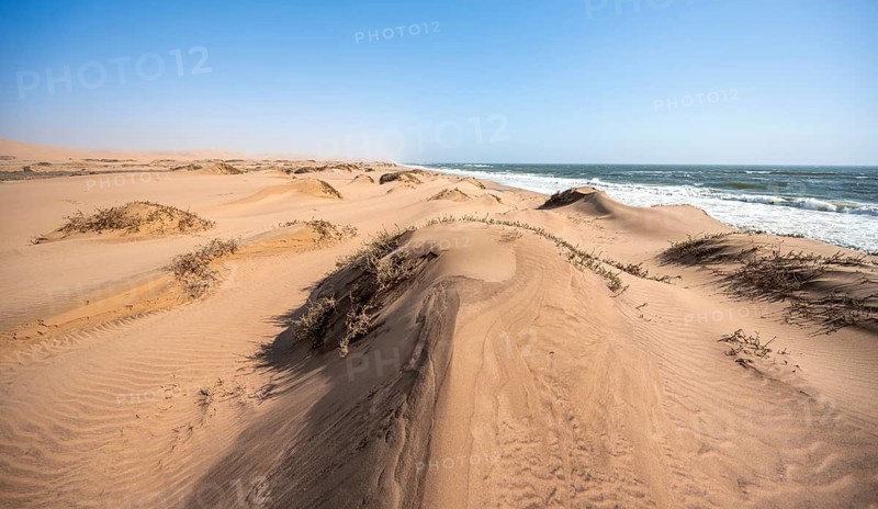 Small dunes on the coast, Atlantic coast in the Namib Desert, Sandwich Harbour, Namib Naukluft Park, Namib Desert, Namibia