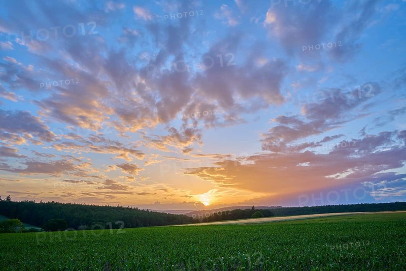 The sun sets, bathes a green landscape in warm colors while the sky is permeated with orange light, summer, Großheubach, Miltenberg, Spessart, Bavaria, Germany