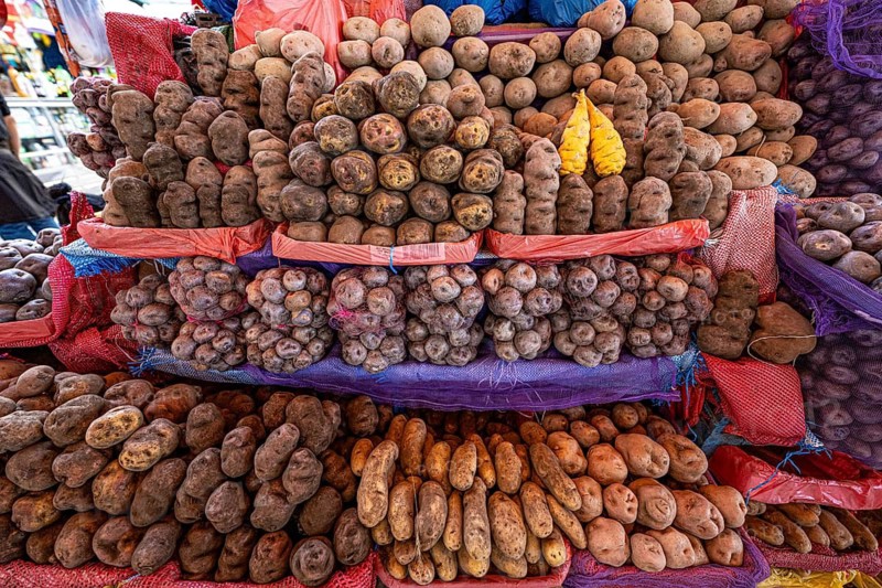 Different types of potatoes at a sales stand in a market hall, Arequipa, southern Peru, Peru, South America