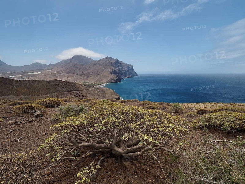 Wide view of coastal landscape with mountains and sea surrounded by plants, La Aldea de San Nicolas, Gran Canaria, Spain