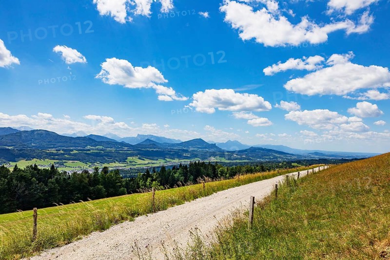 Alpine landscape with dirt road, Kolomansberg, mountain landscape, Thalgau, Flachgau, province of Salzburg, Austria
