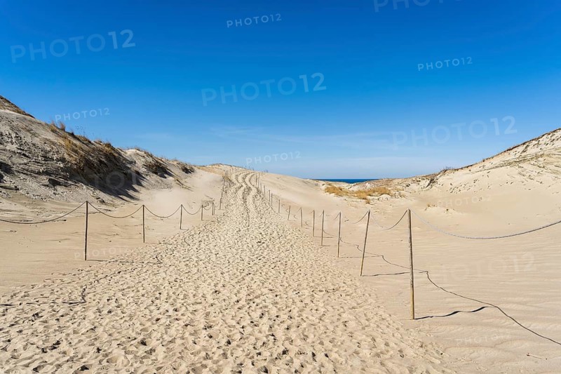 The Gray Dunes, or the Dead Dunes is sandy hills with a bit of green specks at the Lithuanian side of the Curonian Spit, A sandy path through dunes under a clear blue sky, leading towards the sea, Curonian Spit, Neringa, Lithuania