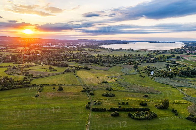 Morning atmosphere on Lake Constance. Sunrise in the Zeller Aachried nature reserve. aerial view. Radolfzell, Baden-Württemberg, Germany