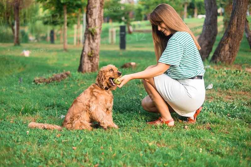 A woman engaging with a dog, showing a toy in a lush green park