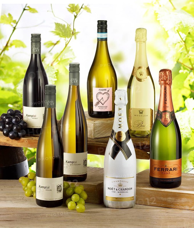 Several bottles of white wine and champagne on wooden boards in front of grapevines