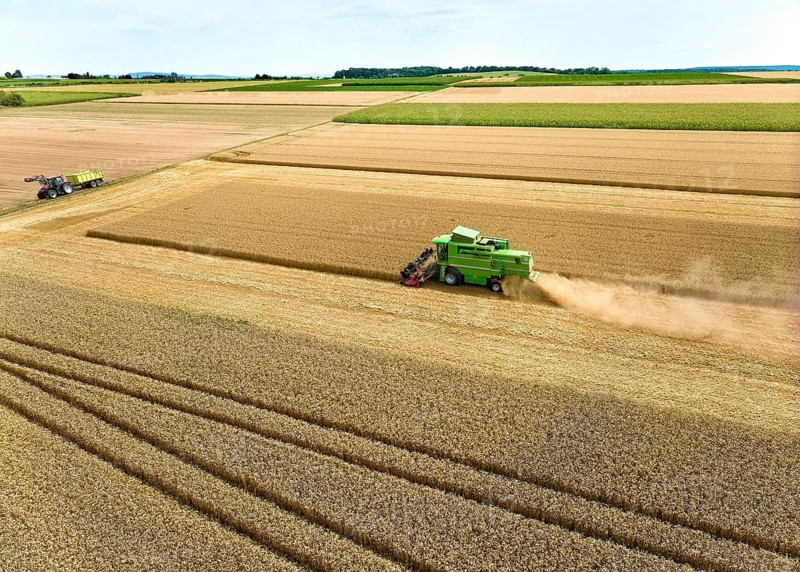Aireal photo of a combine harvester harvesting wheat on a field in the vertile and fruitful of Langes Feld north of Stuttgart, Baden-Württmberg, Germany