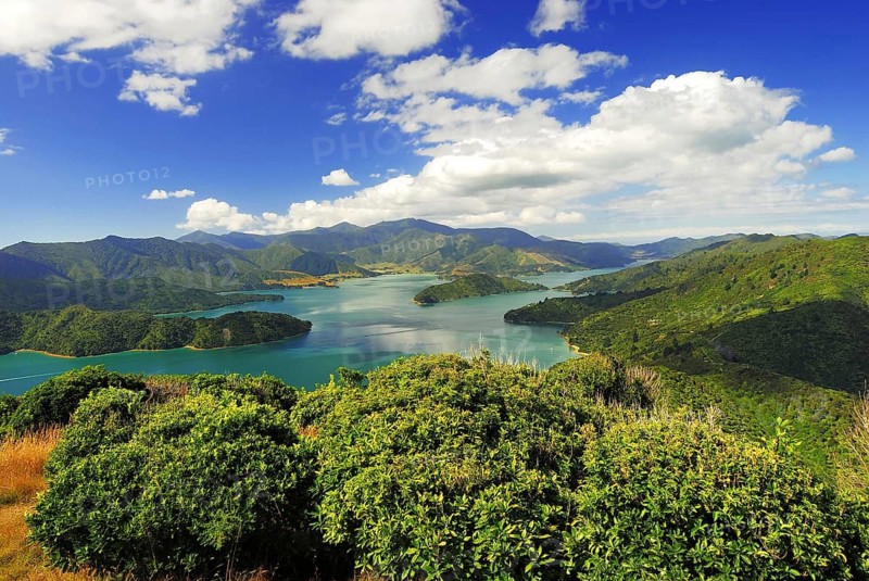 View from Mount Onahau, Queen Charlotte Track, of Kenepuru Sound, Marlborough Sounds National Park, South Island of New Zealand