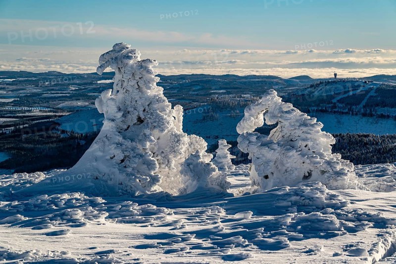 Panoramic view of bizarrely shaped spruce trees covered by snow and ice on the summit of the Brocken over the winter landscape of the Harz with mountains and forests, on a sunny winter day under a clear blue sky, Harz National Park, Saxony-Anhalt, Germany