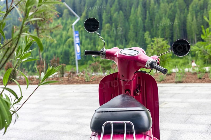 A pink vintage scooter parked on a paved area with green trees in the background. The scooter has a black seat and chrome mirrors