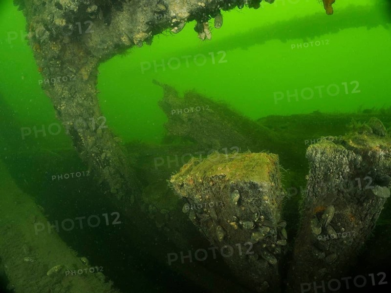 Underwater view of an old shipwreck overgrown by algae with a green glow, Margareta af Vätö dive site, Konabbsfjärden, Nynäshamn, Stockholm, Sweden