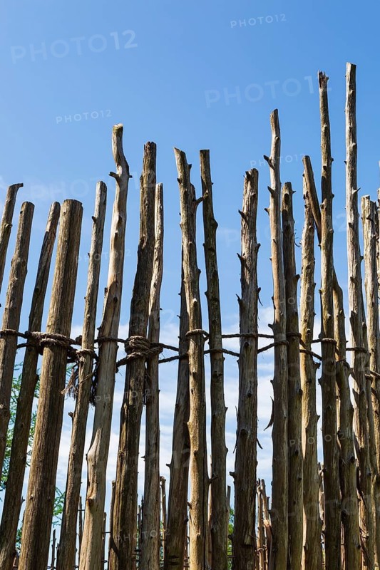Wooden stockade fence made of tall cut tree trunks of various lengths and size attached and tied firmly together with rope, Quebec, Canada