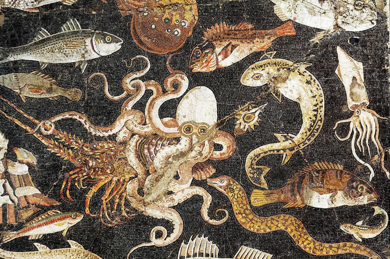 Octopus fighting lobster, Mediterranean marine life, Roman mosaic from Pompeii, Naples National Archaeological Museum, Naples National Archaeological Museum, Naples, Campania, Italy