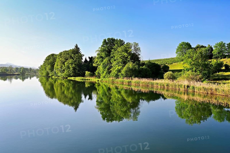 Flat lake in spring, trees reflected in water, Rottenschwil, Canton Aargau, Switzerland