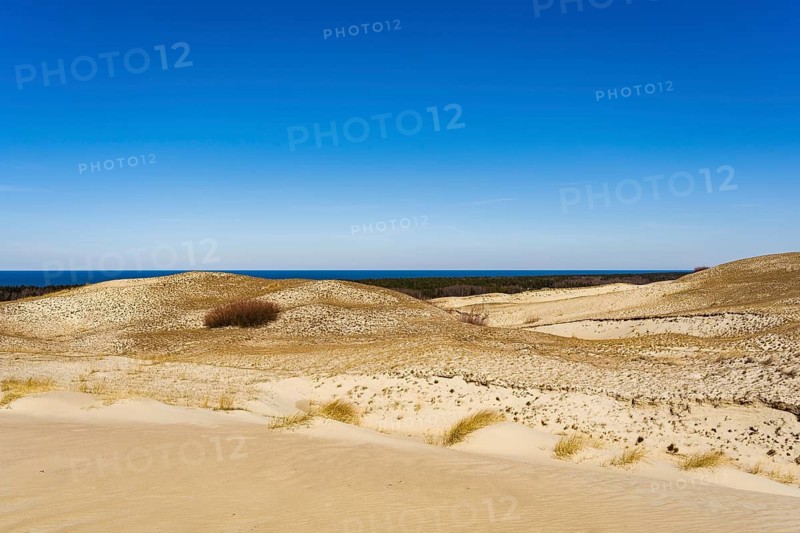 The Gray Dunes, or the Dead Dunes is sandy hills with a bit of green specks at the Lithuanian side of the Curonian Spit, Golden sand dunes under a clear blue sky with a distant horizon and sparse vegetation, Curonian Spit, Neringa, Lithuania