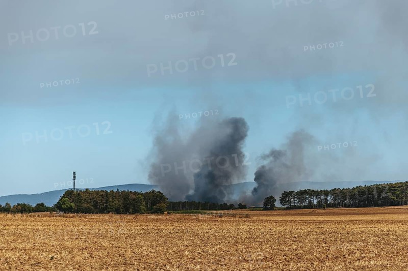 Forest fire in the Föhrenwald on August 14, 2026, Lower Austria, Austria
