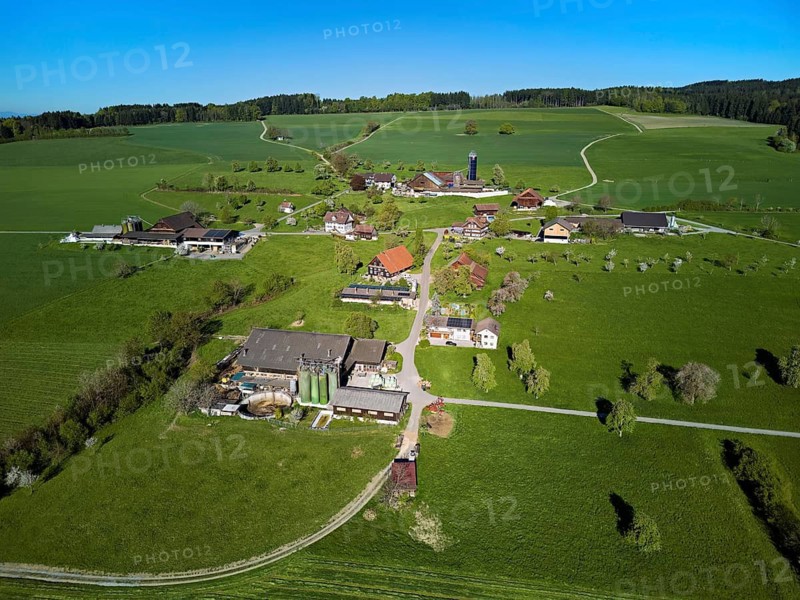 Farms in the hamlet of Holderstock, Sins, Freiamt, Canton of Aargau, Switzerland