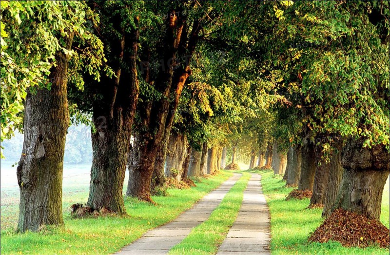 All at Wendisch Langendorf - Germany, Germany