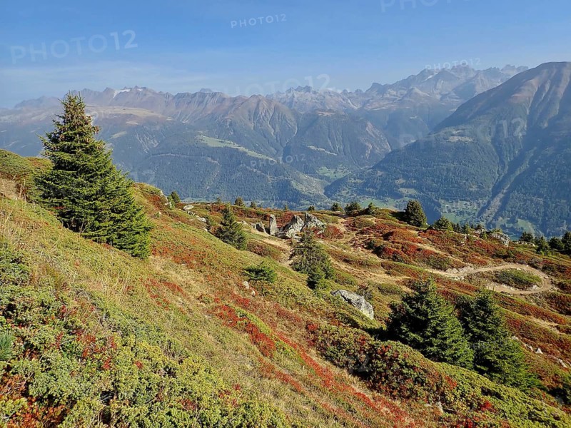 Significant mountain scenery with colorful, autumnal slopes under blue skies, views of distant peaks, Fiescheralp, UNESCO World Heritage Site Swiss Alps Jungfrau-Aletsch, Canton of Valais, Switzerland
