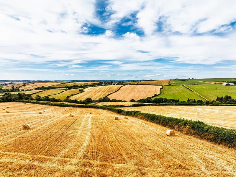 Cornwall Fields and Farms from a drone, Polruan, Cornwall, England, United Kingdom