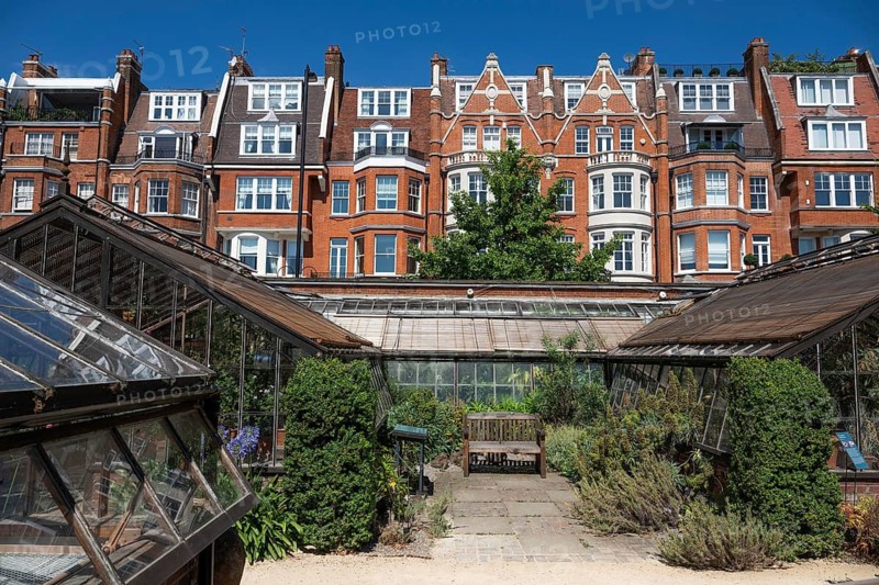 Victorian townhouses on Royal Hospital Road, historic greenhouses, Chelsea Physic Garden, historic botanical garden, oldest botanical garden in London, founded in 1673 by the Worshipful Society of Apothecaries, Chelsea, England, Great Britain, Great Britain