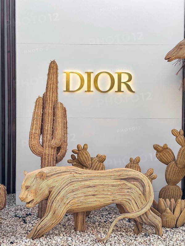 Bodrum, Turkiye - 26.05.2025: DIOR store entrance in Palmarina Bodrum Marina in Turkey