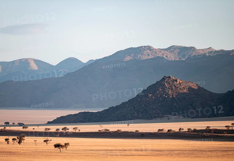 Evening, dry landscape in the NamibRand Nature Reserve, Naukluft Mountains behind, Namib Desert, Namibia