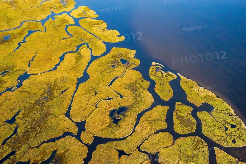 Aerial view of the landscape on the Großer Kirr in the Vorpommersche Boddenlandschaft National Park, Zingst, Mecklenburg-Western Pomerania, Germany